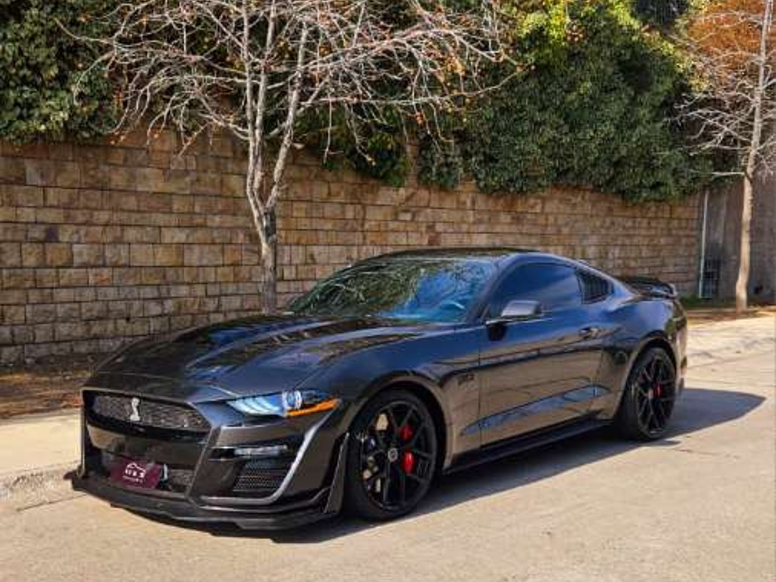 Ford MUSTANG SUPERCHARGED GT 5.0 2020 - Foto 5 de 19