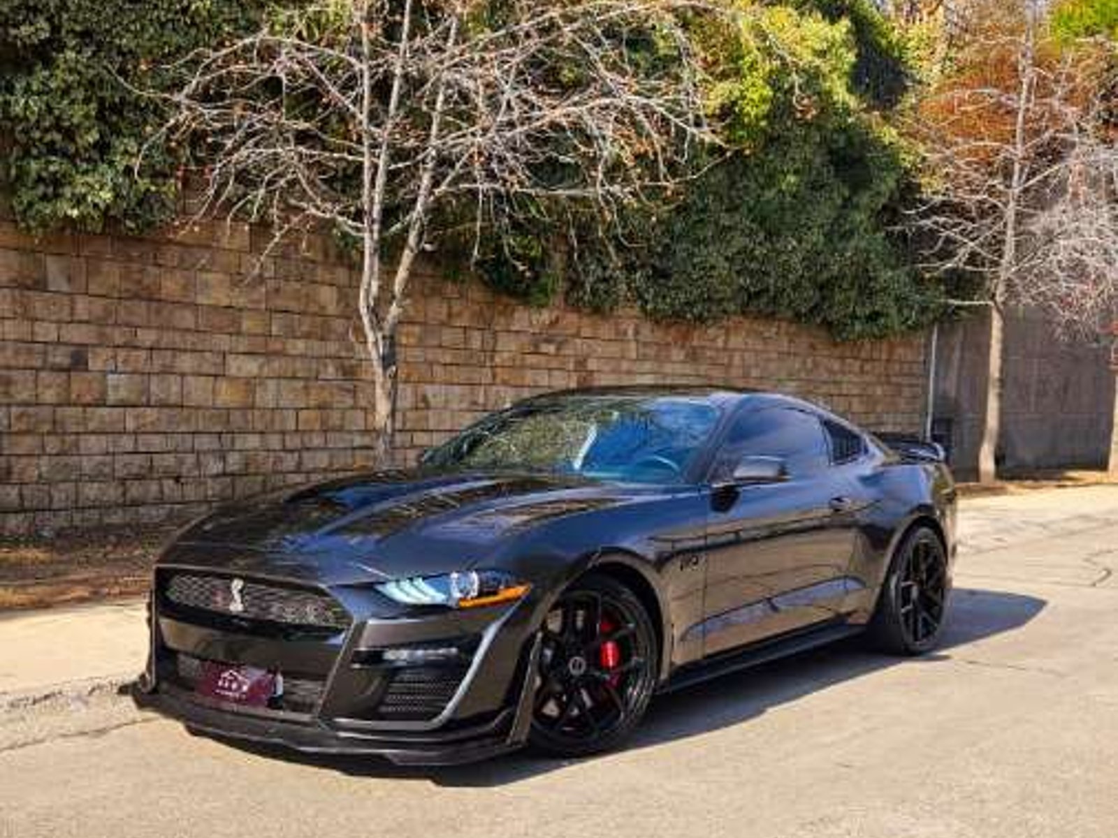 Ford MUSTANG SUPERCHARGED GT 5.0 2020 - Foto 2 de 19