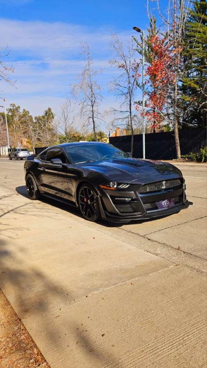 FORD MUSTANG SUPERCHARGED GT 5.0 2020 - Foto 4 de 19