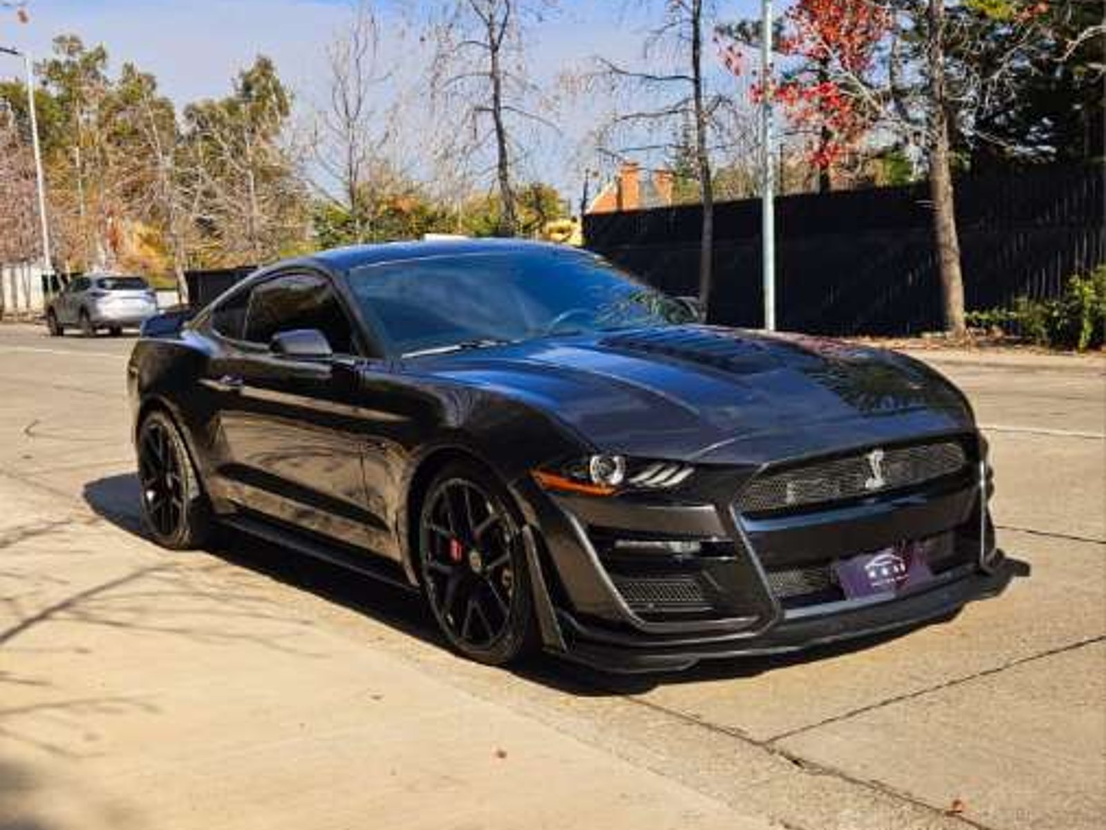Ford MUSTANG SUPERCHARGED GT 5.0 2020 - Foto 4 de 19