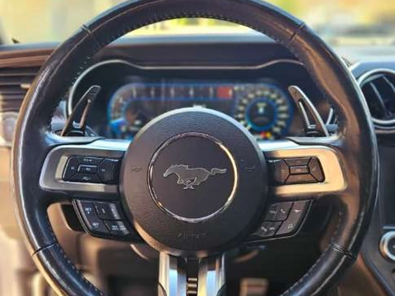 Ford MUSTANG SUPERCHARGED GT 5.0 2020 - Imagen 19 de 19