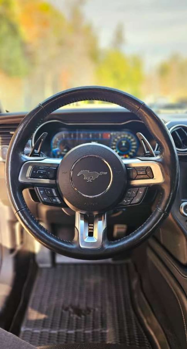 FORD MUSTANG SUPERCHARGED GT 5.0 2020 - Imagen 19 de 19