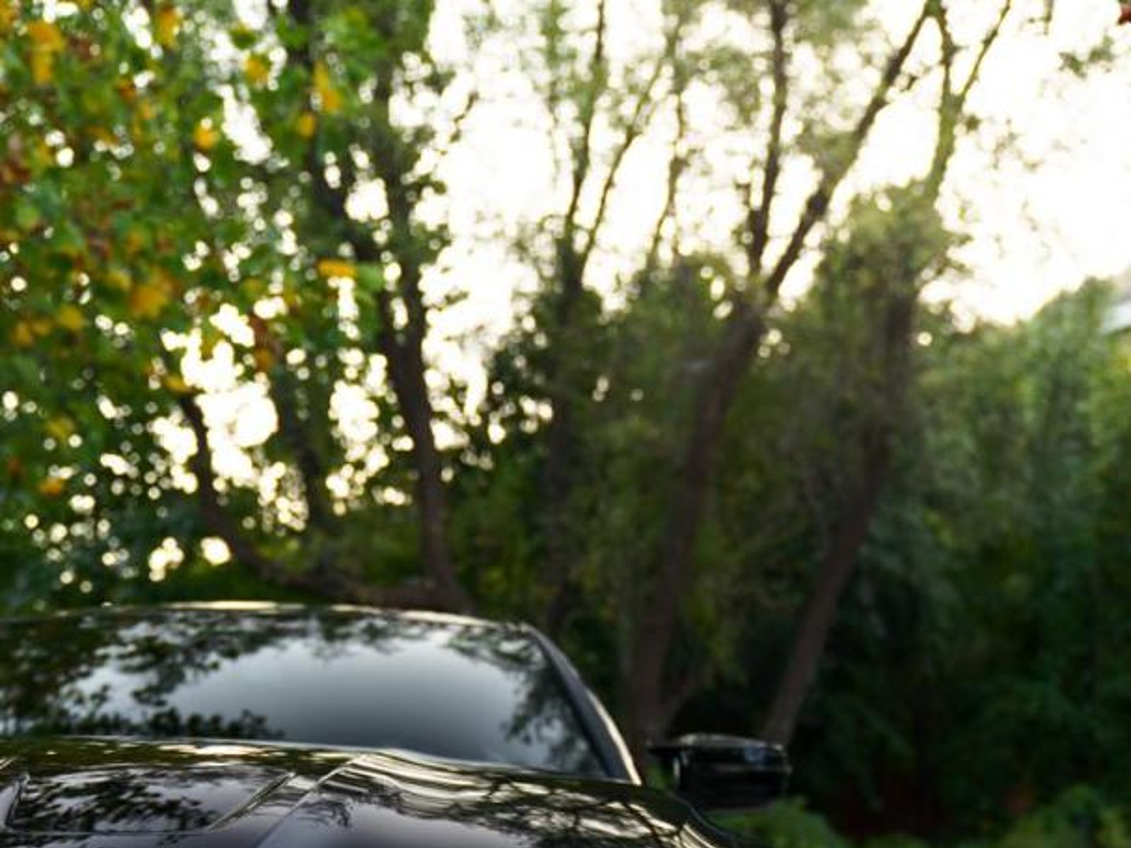 BMW M3 COMPETITION 2025 - Foto 5 de 20