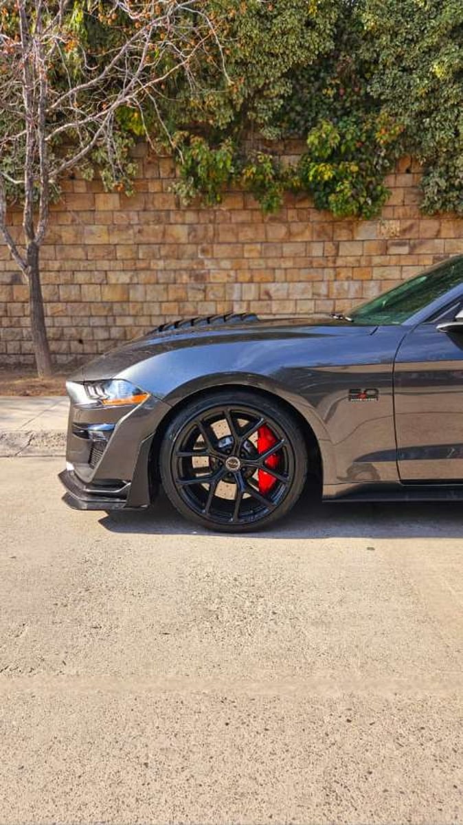 FORD MUSTANG SUPERCHARGED GT 5.0 2020 - Imagen 10 de 19