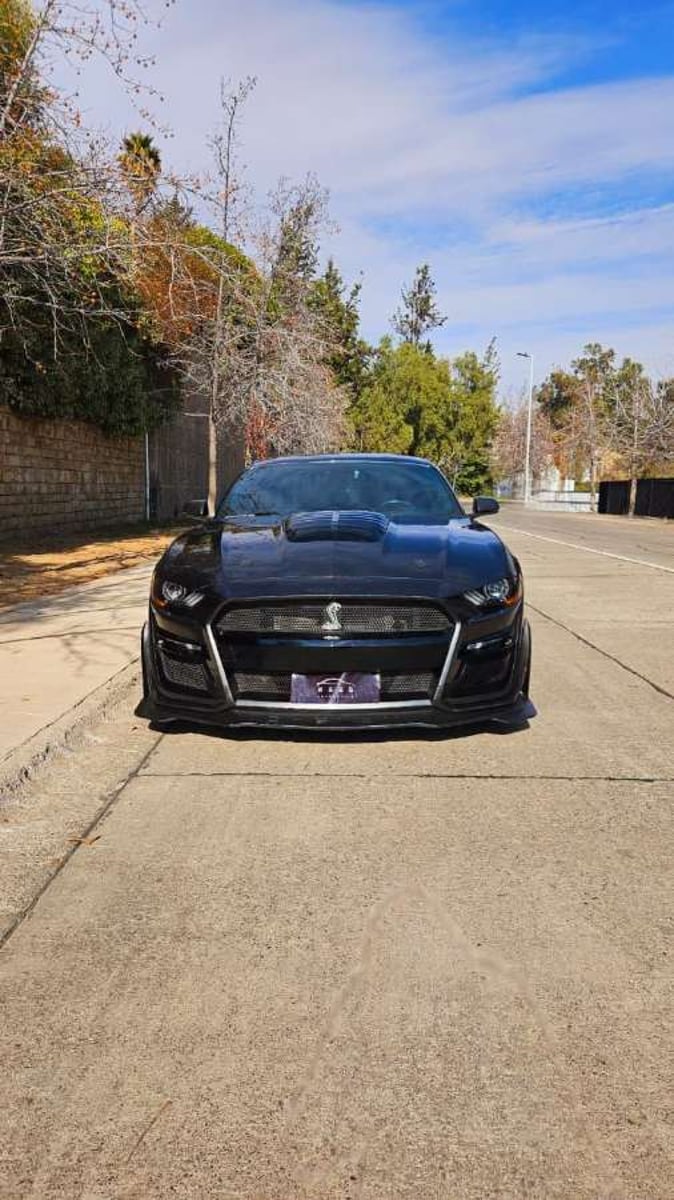 FORD MUSTANG SUPERCHARGED GT 5.0 2020 - Foto 3 de 19