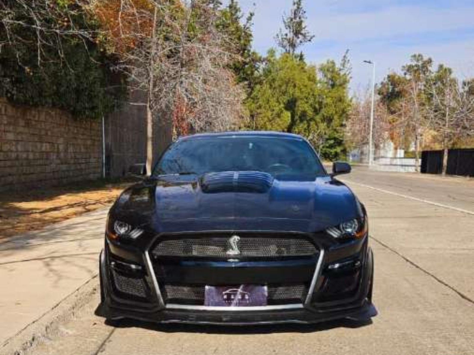 Ford MUSTANG SUPERCHARGED GT 5.0 2020 - Foto 3 de 19