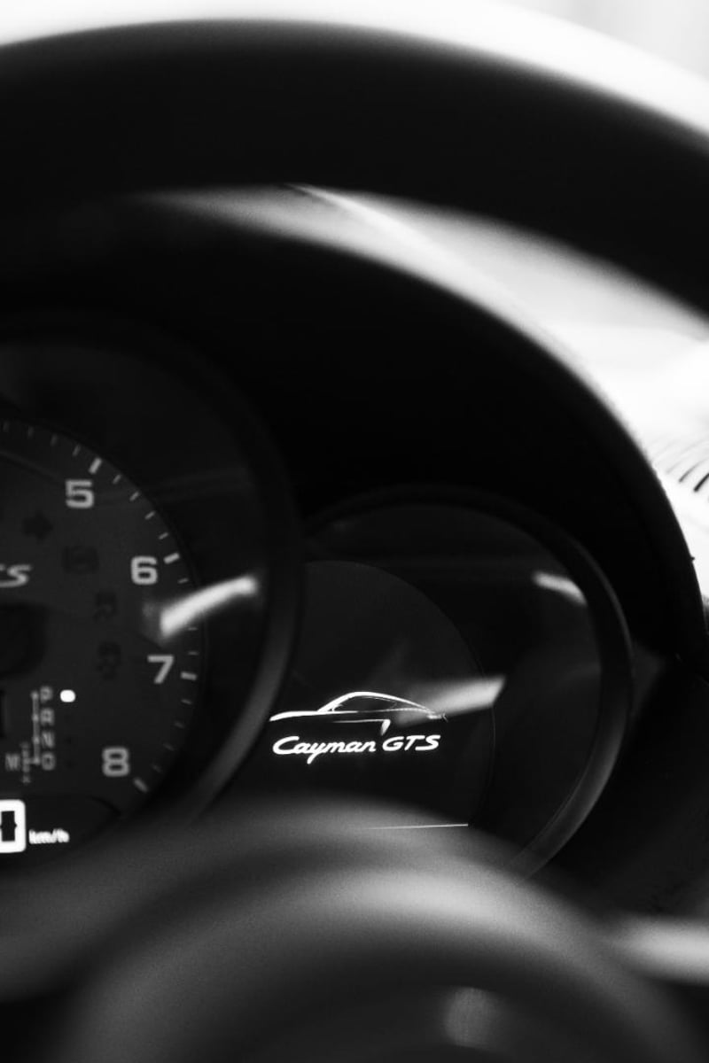 Porsche 718 CAYMAN GTS 2018 - Imagen 9 de 19