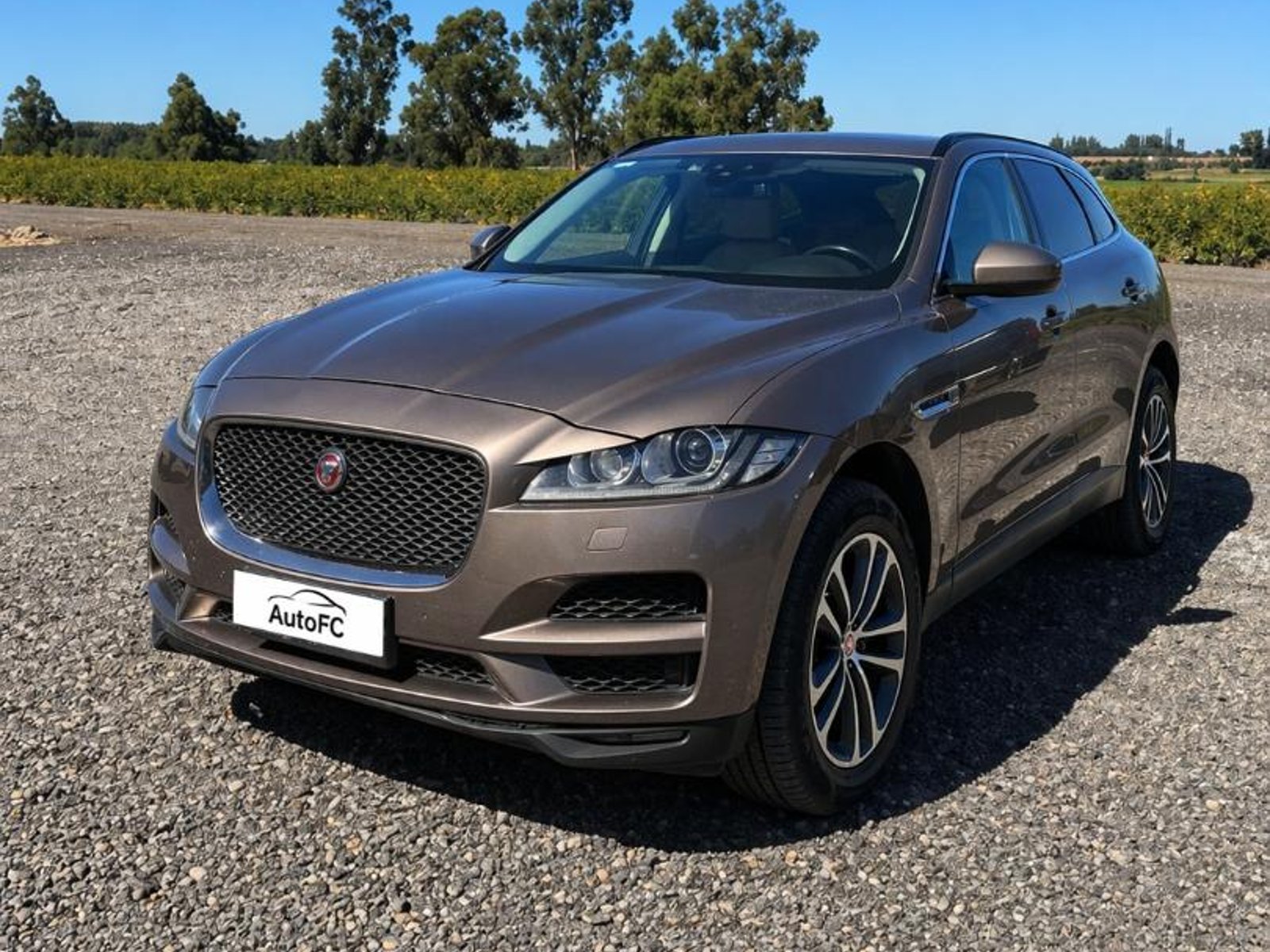 Jaguar F-Pace 2017 - Foto 3 de 13