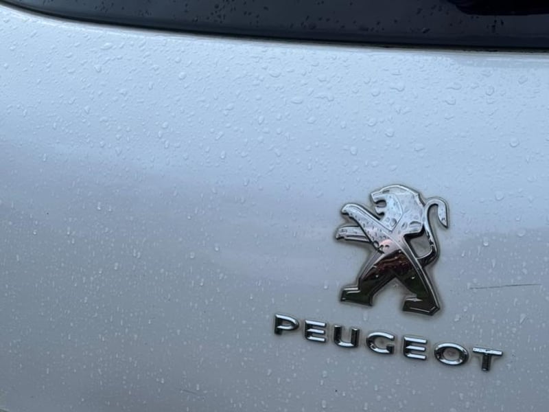 Peugeot 4008 Feline 2.0 4WD 2016 - Imagen 17 de 20