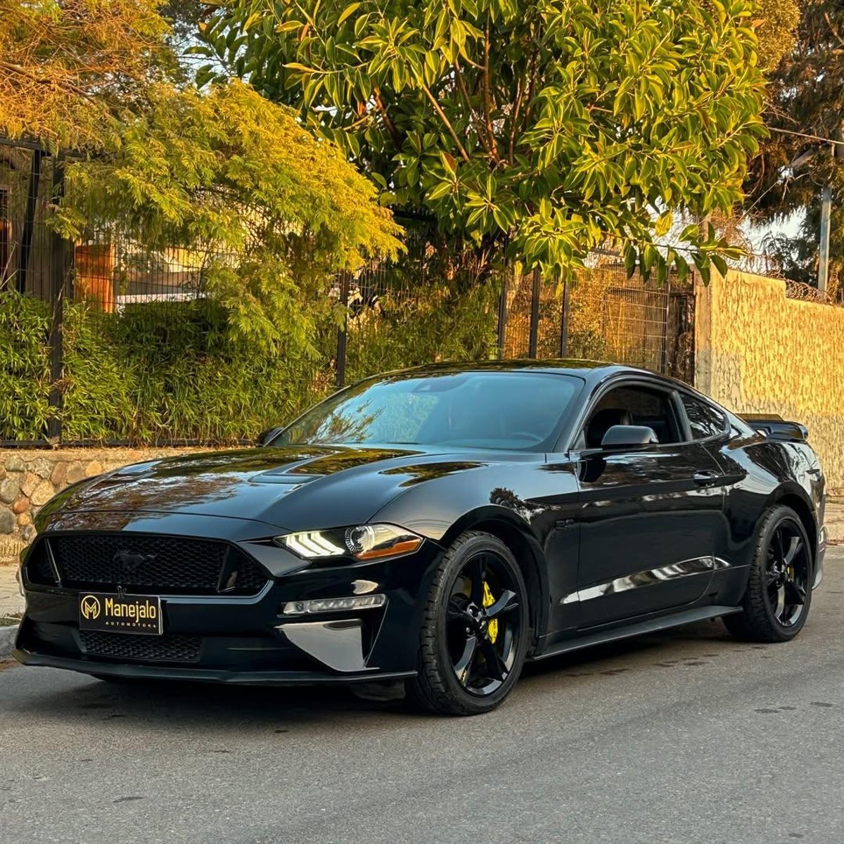 Ford MUSTANG GT 5.0L V8 🇺🇸 2021 - Imagen 8 de 10