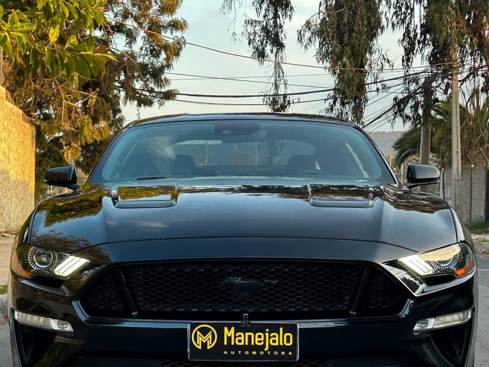 Ford MUSTANG GT 5.0L V8 🇺🇸 2021 - Foto 2 de 10