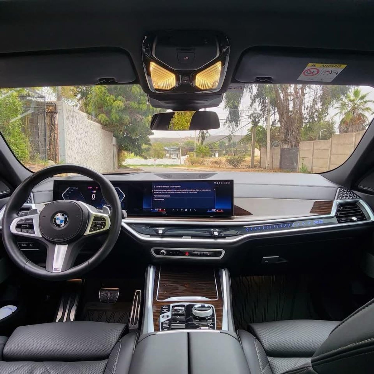BMW X6 XDRIVE 30D M 4X4 3.0L 2025 - Imagen 7 de 11