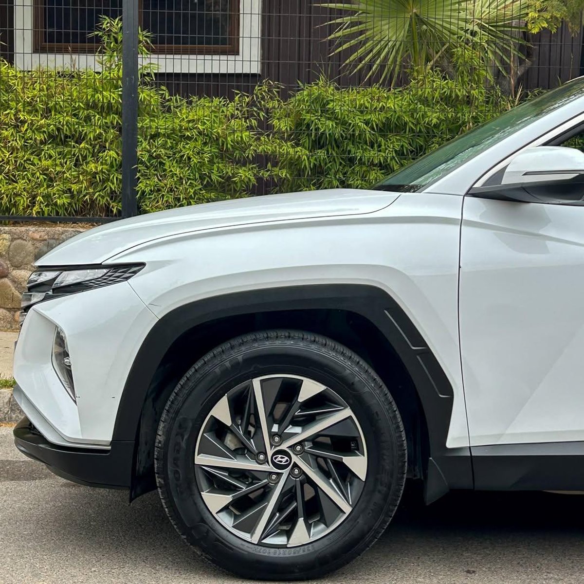 Hyundai TUCSON NX4 2.0L 🇰🇷 2024 - Imagen 3 de 10