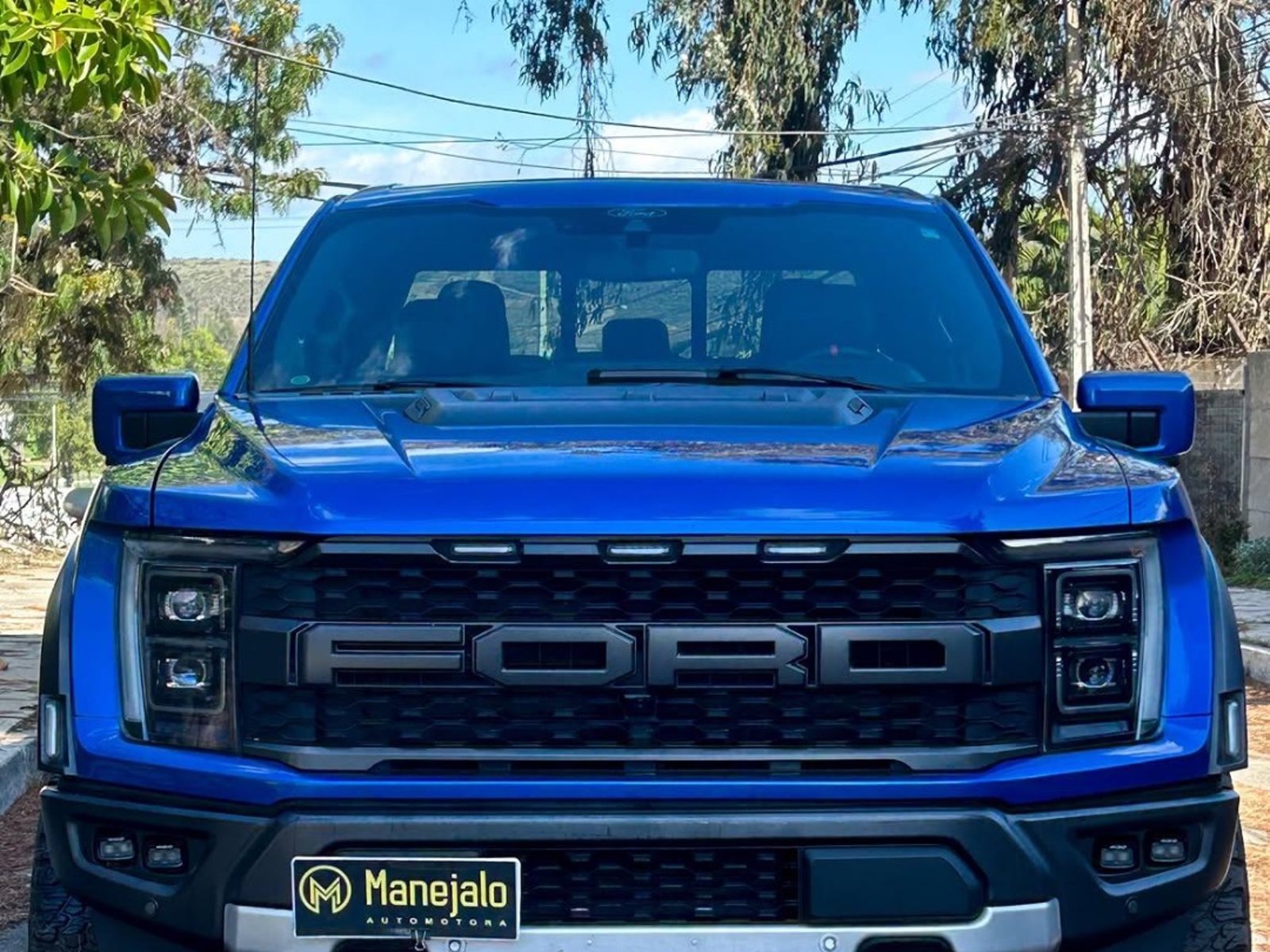 Ford F-150 RAPTOR 🇺🇸 2022 - Foto 2 de 10