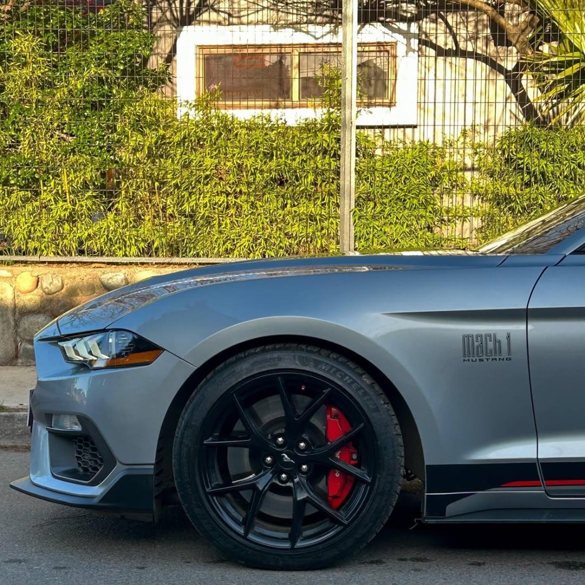 Ford MUSTANG MACH 1🇺🇸 2022 - Imagen 3 de 10