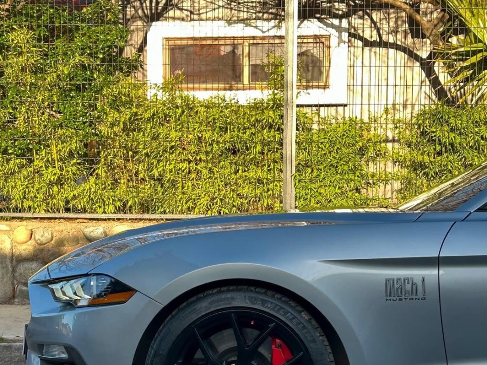 Ford MUSTANG MACH 1🇺🇸 2022 - Foto 3 de 10