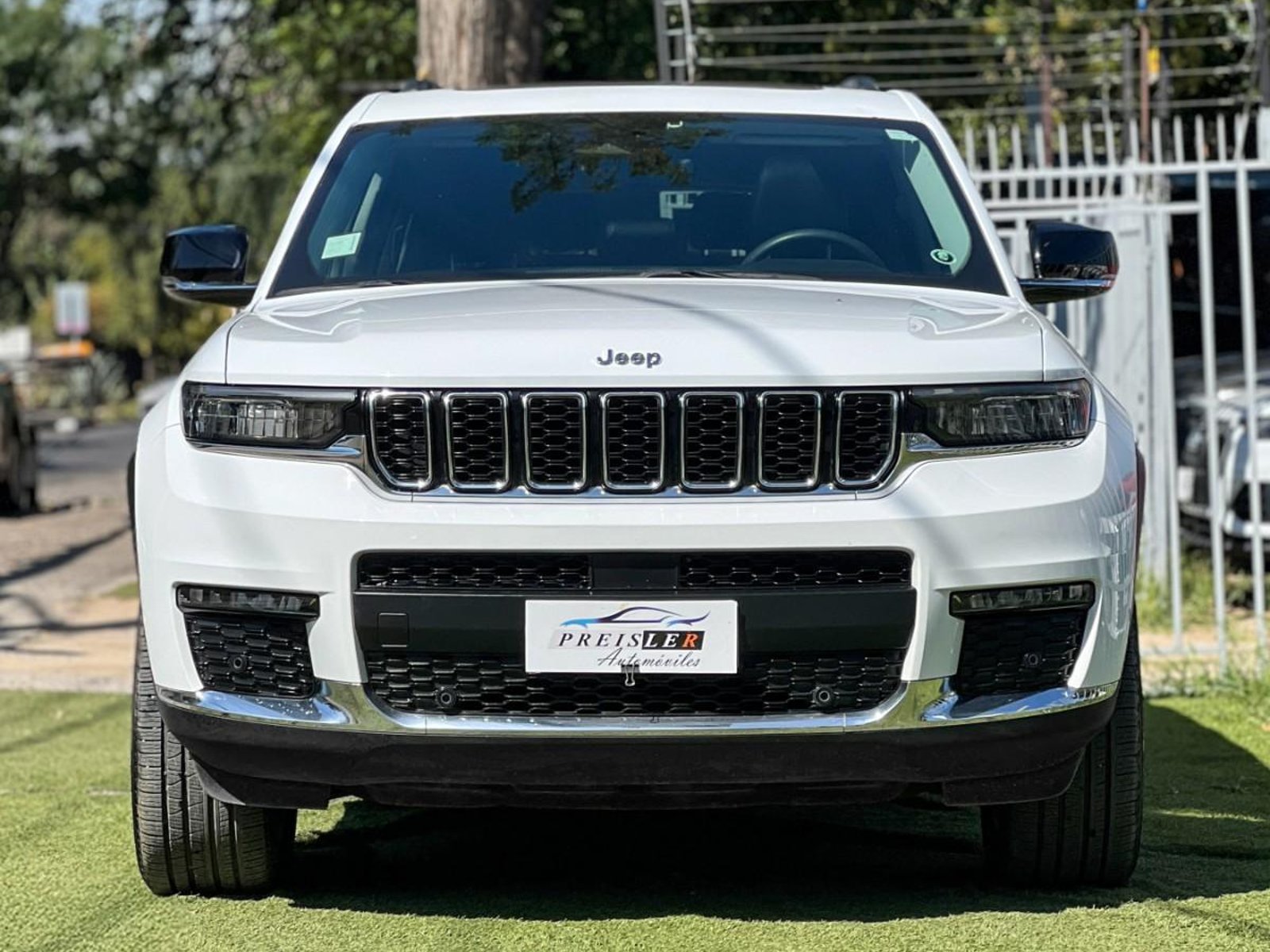 Jeep GRAND CHEROKEE LIMITED 4X4 3 CORRIDAS DE ASIENTOS 2023 - Foto 3 de 10