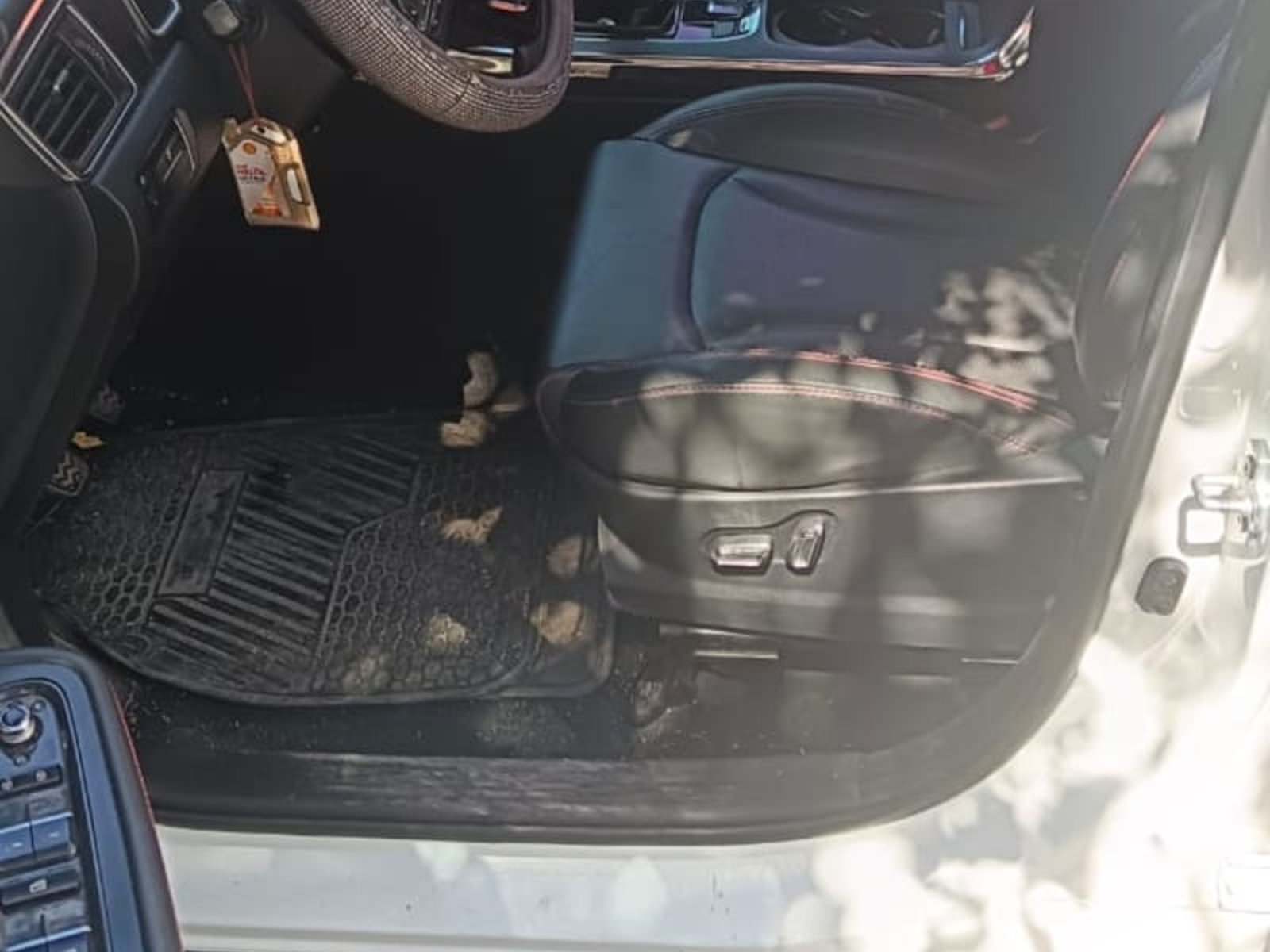 Otro SWM G05 PRO luxury 2024 - Foto 5 de 8