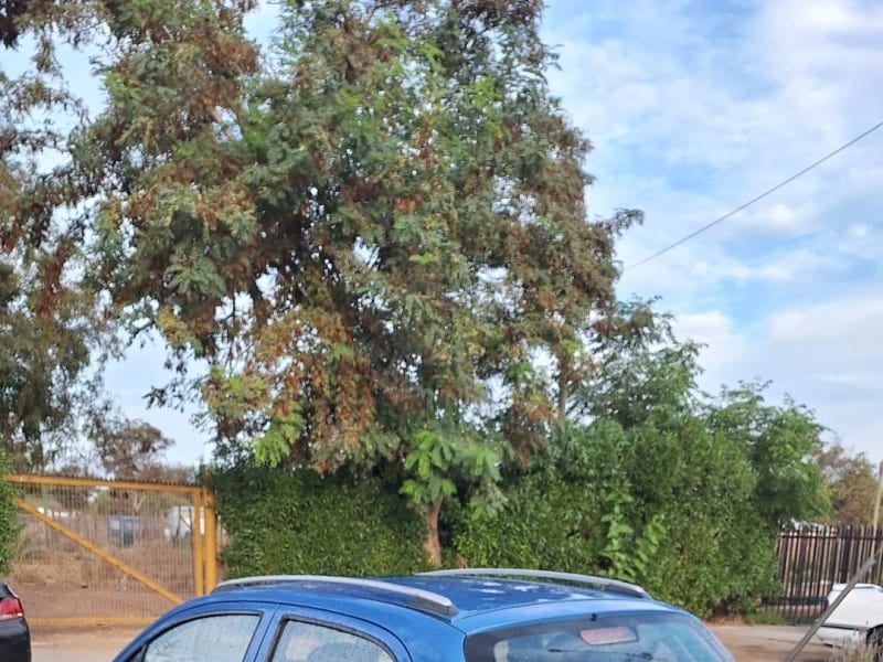 Chevrolet SPARK LITE 1.0 1.0 LITE HB AC M MT 2015 - Imagen 4 de 4
