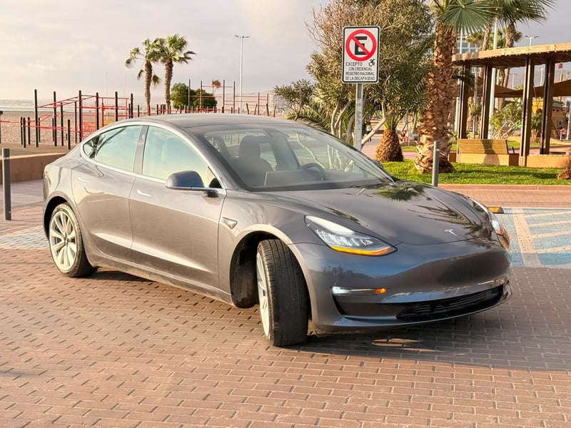 Tesla 3 2019