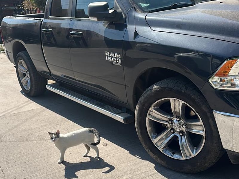 Dodge 1500 2020 - Imagen 3 de 8