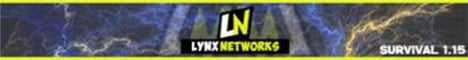 A Minecraft Server