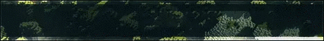Simply           1.20 Anarchy with NO hacking!
  Vanilla