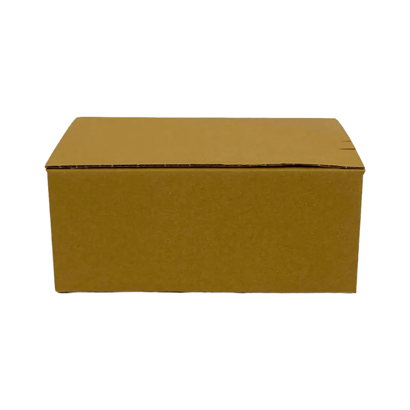 1_WP-Standardkarton_SK4_geschlossen_quer_24250150100