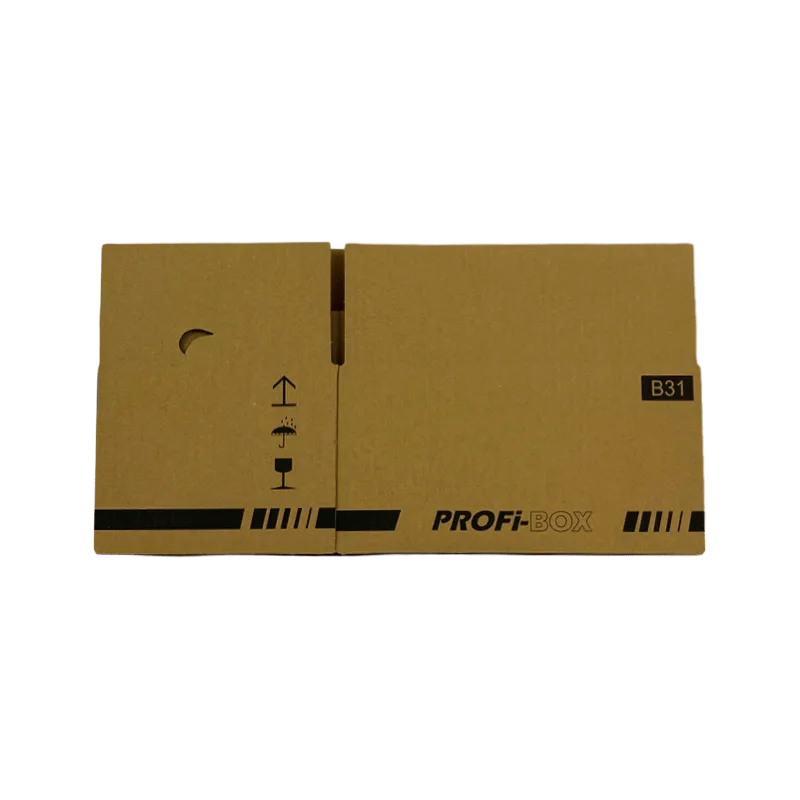 3_Profi-Box_B31_unaufgebaut_2484134137