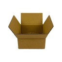 0_WP-Standardkarton_DD3_geoeffnet_quer_24220220100
