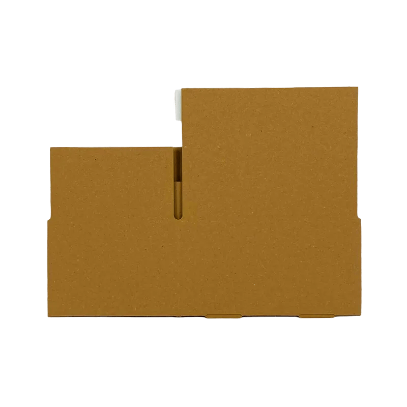 4_WP-Standardkarton_SK3_unaufgebaut_rueckseite_24213153109