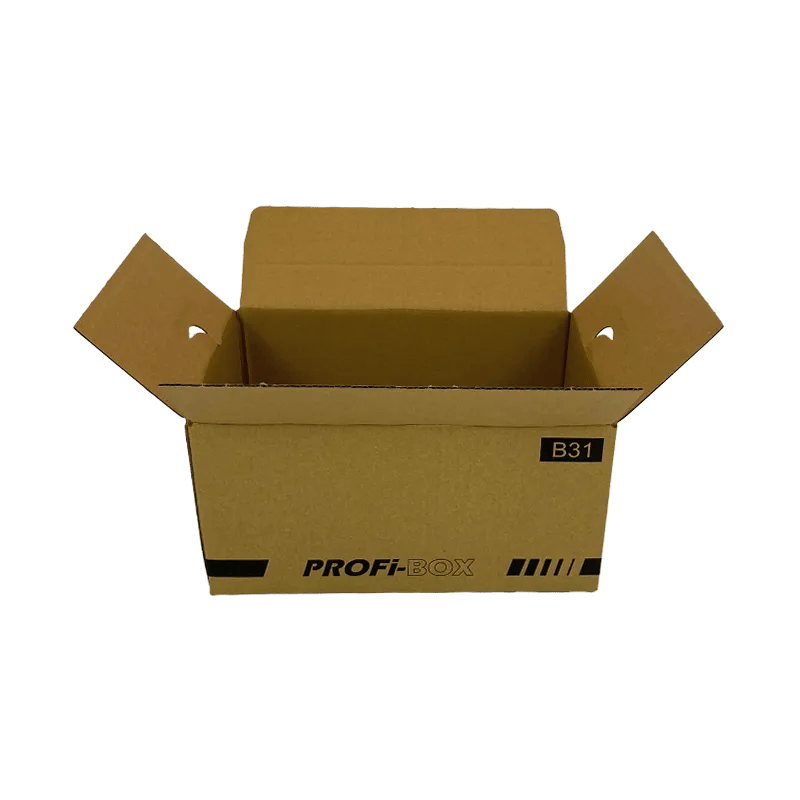 1_Profi-Box_B31_geoeffnet_quer_2484134137