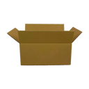 0_WP-Standardkarton_DD84_geoeffnet_quer_24600350250