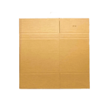3_WP-Standardkarton_DD160_unaufgebaut_24785585772
