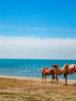Qinghai Lake