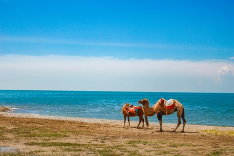 Qinghai Lake