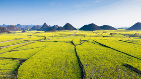 Jinjifeng Peak Cluster 