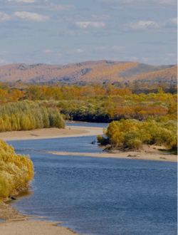 Wetlands