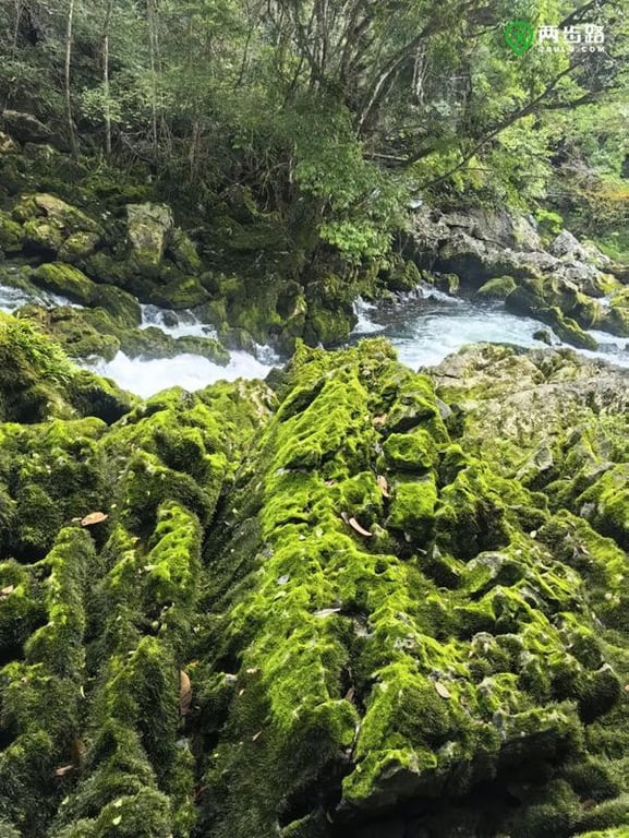 Maolan National Nature Reserve Trail