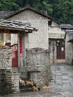 Benzhai