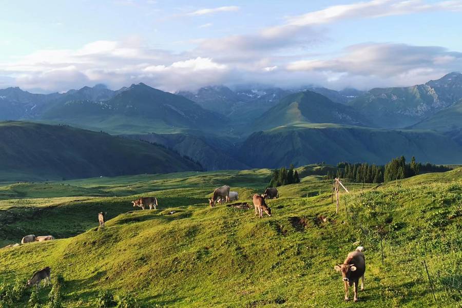 Tangbula Hundred-Li Gallery