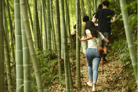 Mogan Mountain