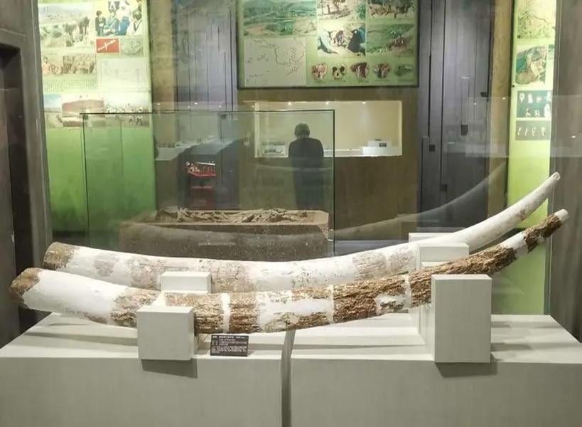 Yuanmou Man Museum