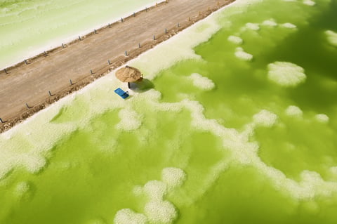 Chaerhan Salt Lake