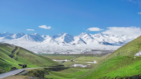 Nalati Grassland