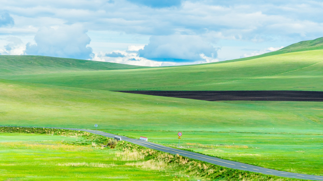 Inner Mongolia Grasslands