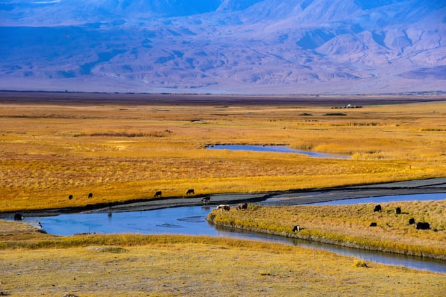 Southern Xinjiang Expedition, photo 4