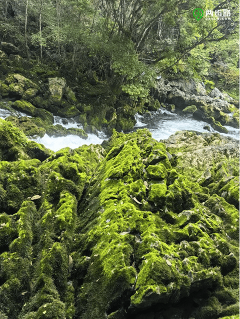 Maolan National Nature Reserve Trail