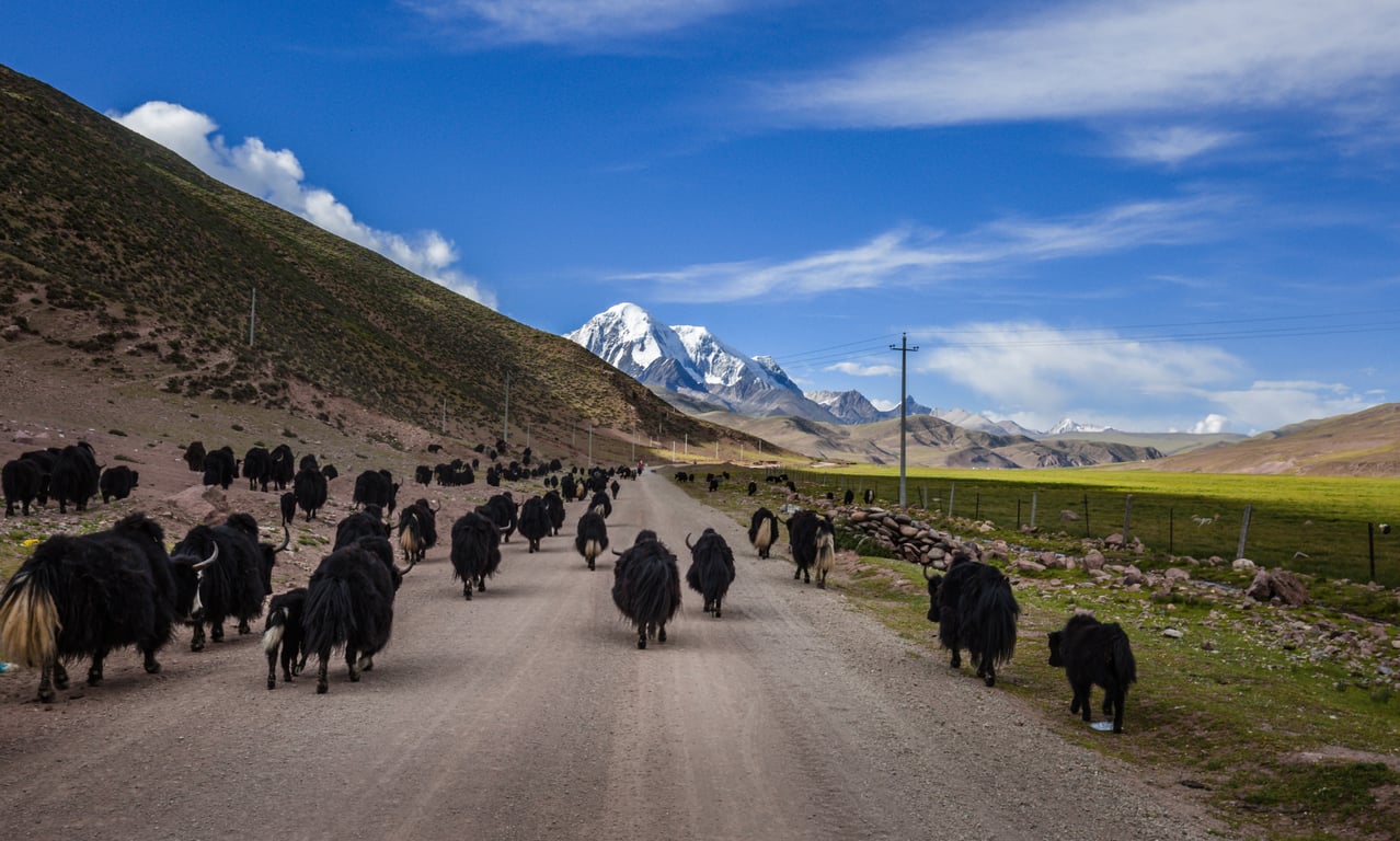 Getting ready for a self-drive road trip in China