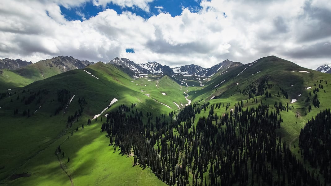 Nalati Grassland